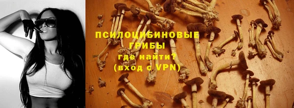 хмурый Кулебаки