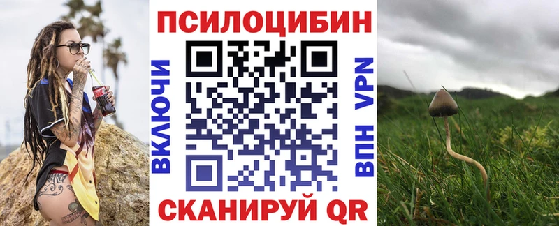 Псилоцибиновые грибы Psilocybe  кракен онион  Коммунар 