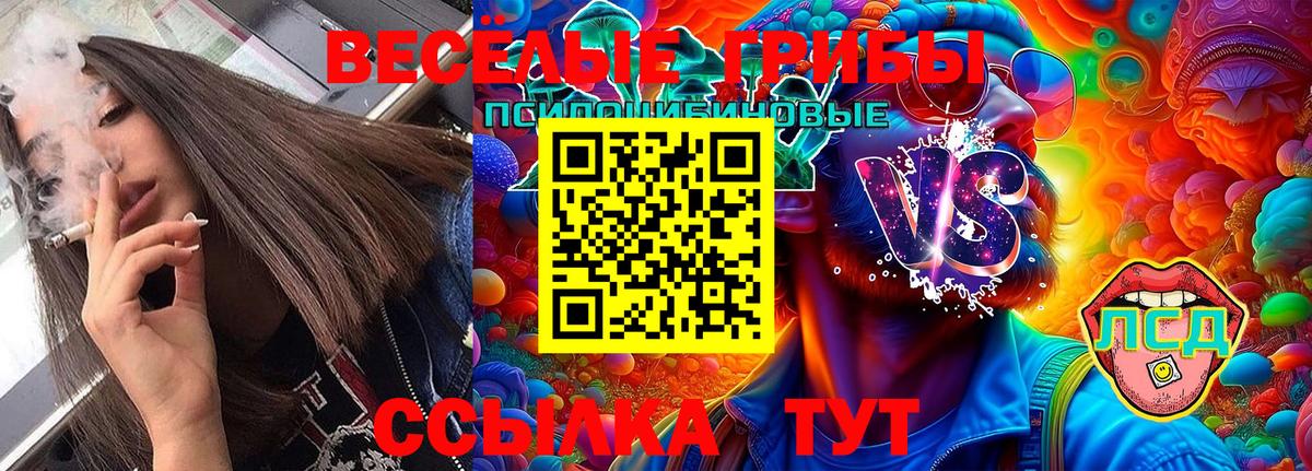 Псилоцибиновые грибы MAGIC MUSHROOMS  Галлюциногенные грибы мицелий  Вход с VPN  Коммунар 